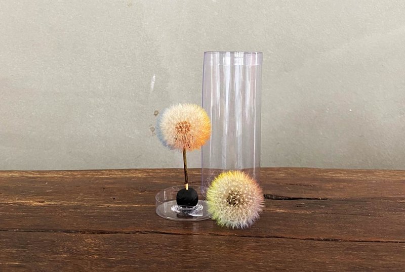 Dream World Dandelion Colorful Pompoms - Items for Display - Plants & Flowers White