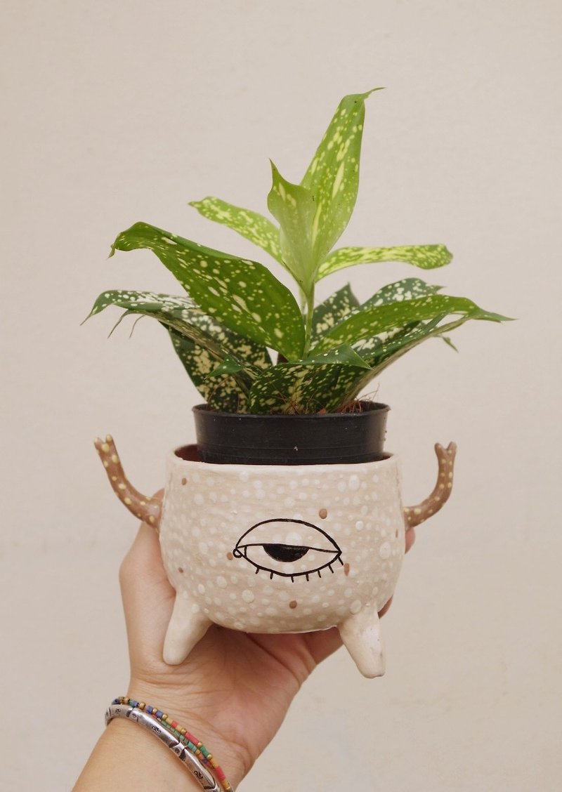 Handmade ceramic pot monster. - Plants - Pottery Khaki