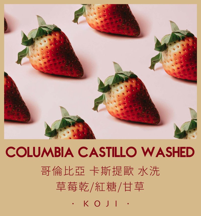 哥倫比亞 淺中烘焙 卡斯提歐水洗 咖啡豆 掛耳包 - 咖啡/咖啡豆 - 新鮮食材 白色