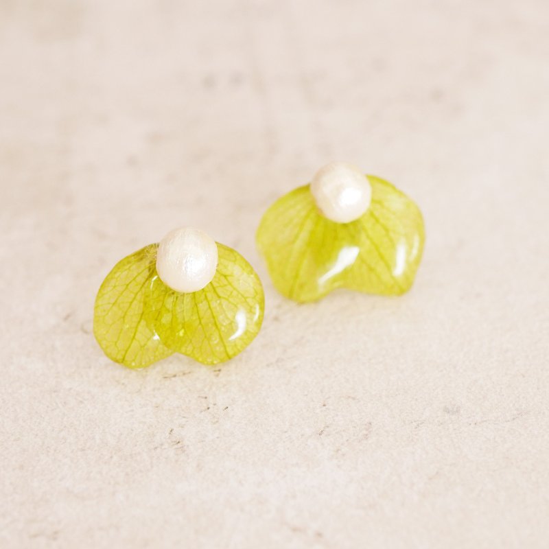 紫陽花とコットンパールのピアス　P-030 - 耳環/耳夾/耳骨夾 - 樹脂 綠色