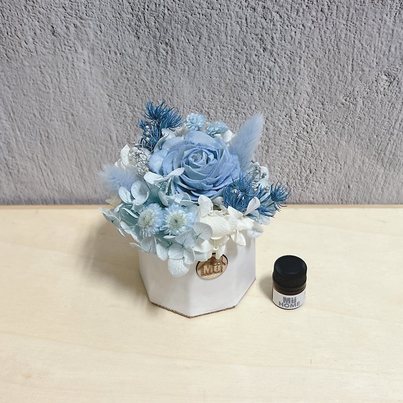 Sola flower fragrance small potted flower dry flower fragrance stone with 1ml essential oil - ช่อดอกไม้แห้ง - พืช/ดอกไม้ สีน้ำเงิน