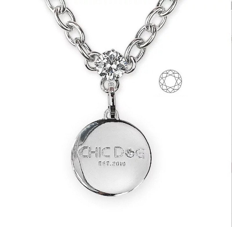 Collection Stone 304 Stainless Steel necklace-new chic dog brand ((free engraving service)) - ปลอกคอ - โลหะ สีเทา