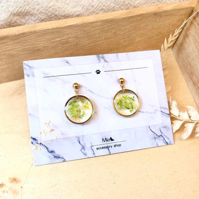 [Flower Full Moon] Green Bi-color Dry Flower Series Earrings (Clip-On can be changed) - ต่างหู - วัสดุอื่นๆ สีเขียว