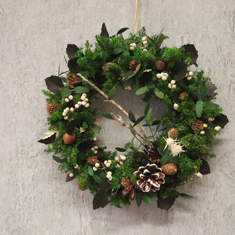 Christmas limited edition permanent Christmas wreath - Plants & Floral Arrangement - Plants & Flowers 