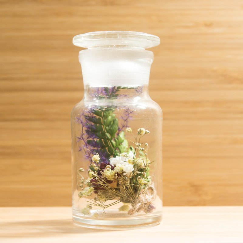 The breath of the first machine-glass dried flowers - Plants - Glass Multicolor