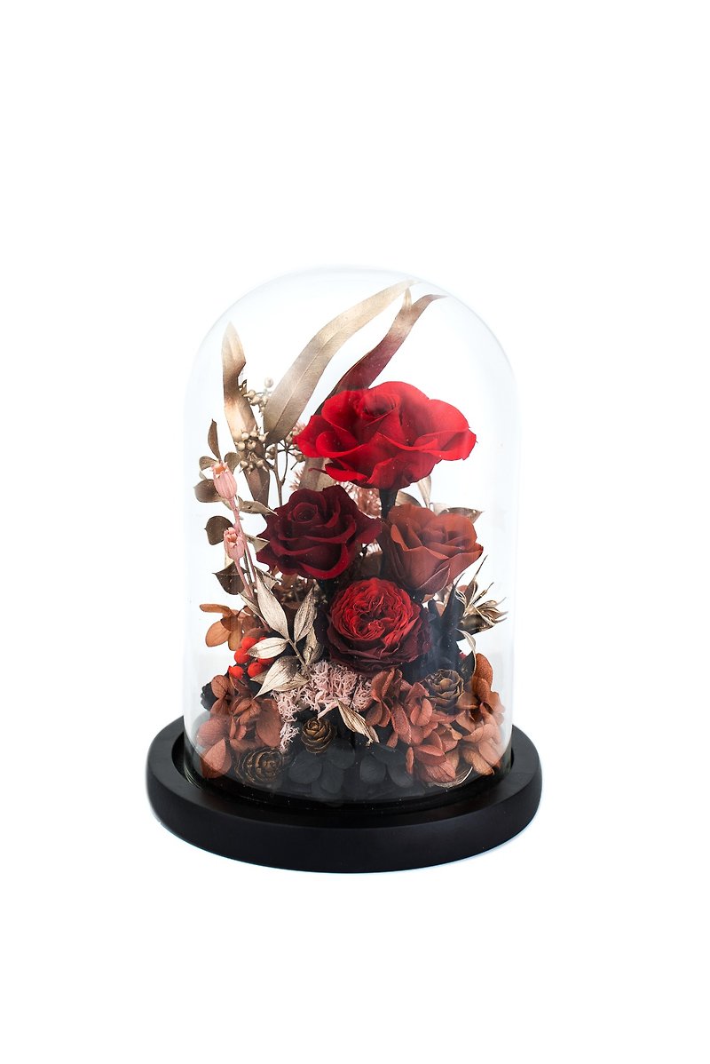 紅黑永生花玻璃罩 - 乾花/永生花 - 植物．花 紅色