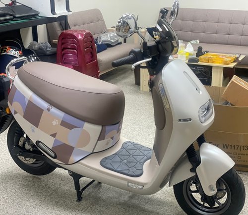 黑眼圈先生 幾何圖+貓腳印(裸光金) gogoro系列車套 防刮車套