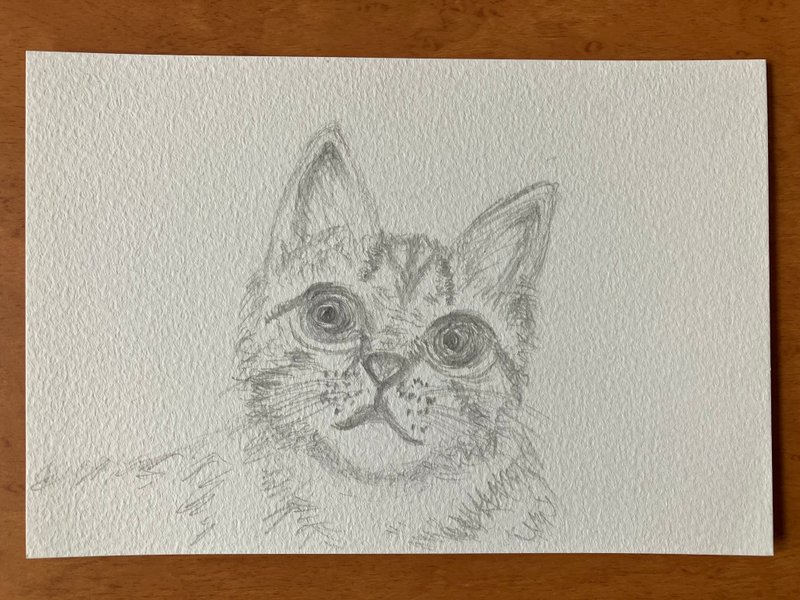 猫　ドローイング - 海報/掛畫/掛布 - 紙 白色