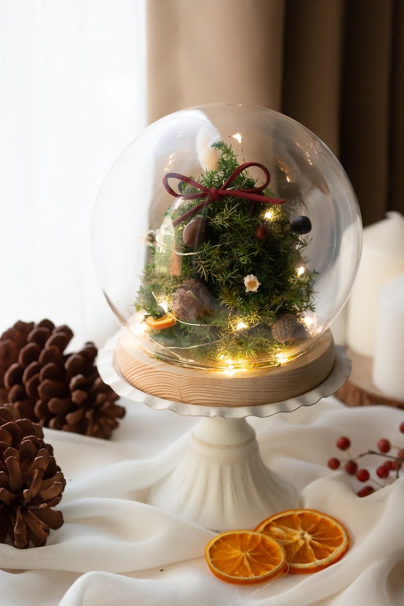 永生聖誕小樹燈串玻璃球 | 聖誕禮物 | 交換禮物 - 乾燥花/永生花 - 植物．花 綠色