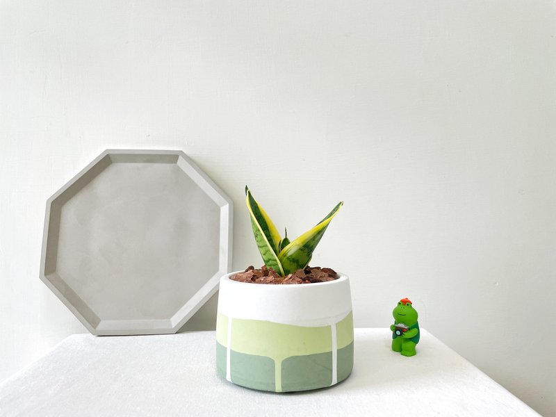 Tiger tail orchid forest green lines round and fat Cement potted plant - ตกแต่งต้นไม้ - ปูน สีเขียว