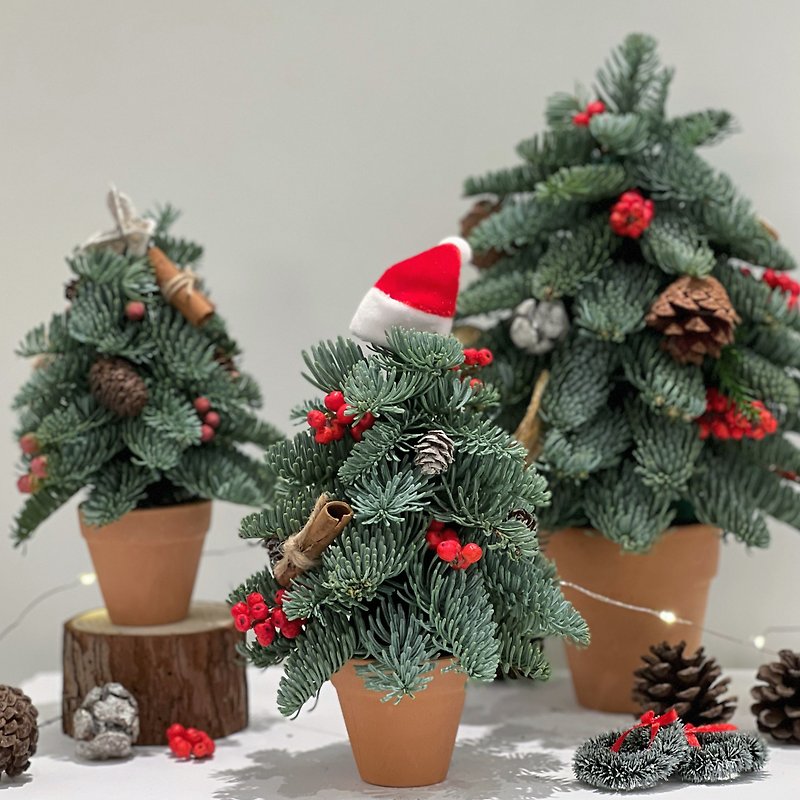 【手作り】フレッシュノーブルパイン ミニクリスマスツリー（高さ18cm） - 置物 - 寄せ植え・花 多色