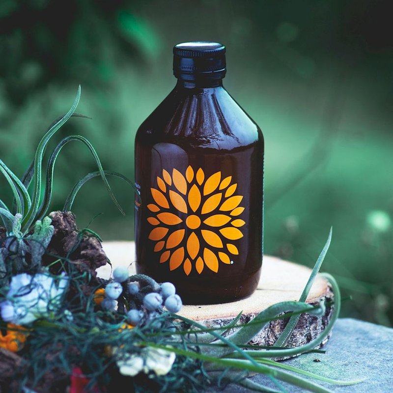 VIGO Acerola Ginger Flavored Kombucha 330ML_Imported from Poland - Vinegar & Fruit Vinegar - Fresh Ingredients 