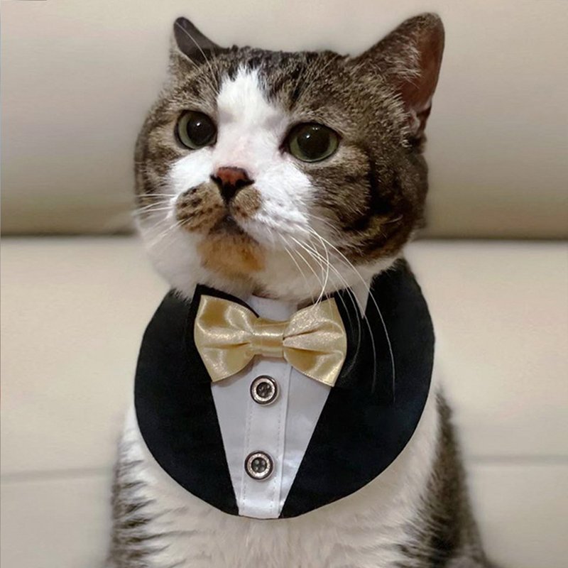 NoAh Pet Pet | 西裝款寵物圍巾 - 寵物衣服 - 棉．麻 黑色