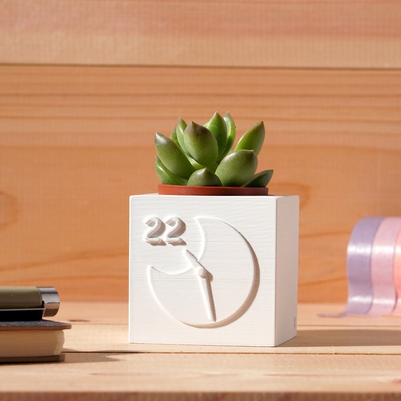 22:28 Take an early rest | Succulent plants in Cement pots | Thoughtful small gifts, customized gifts - ตกแต่งต้นไม้ - ปูน ขาว