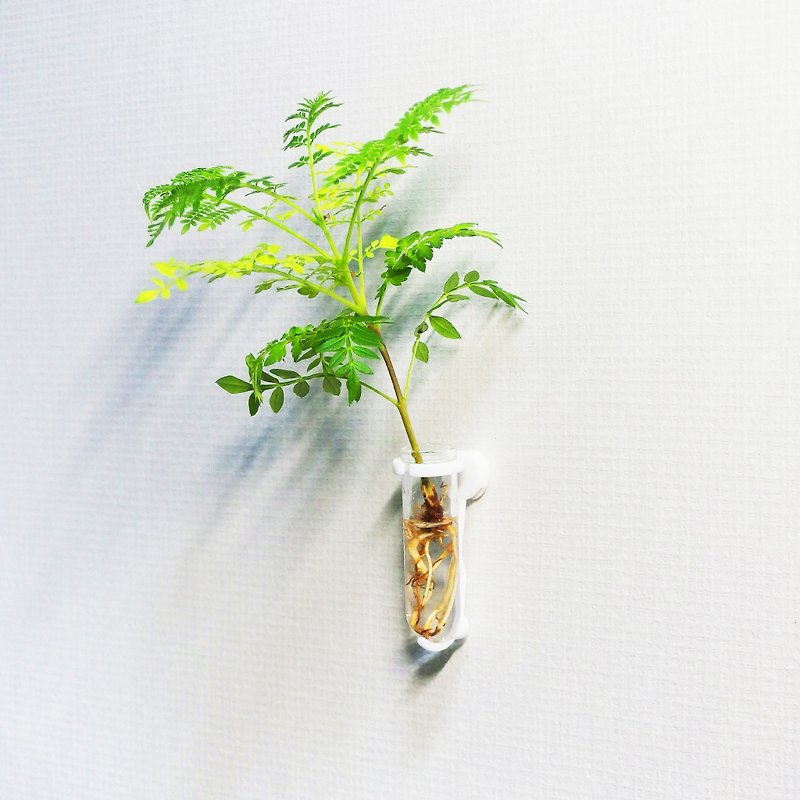 壁に飾る一輪挿し　Test tube - 花瓶・植木鉢 - ガラス 透明