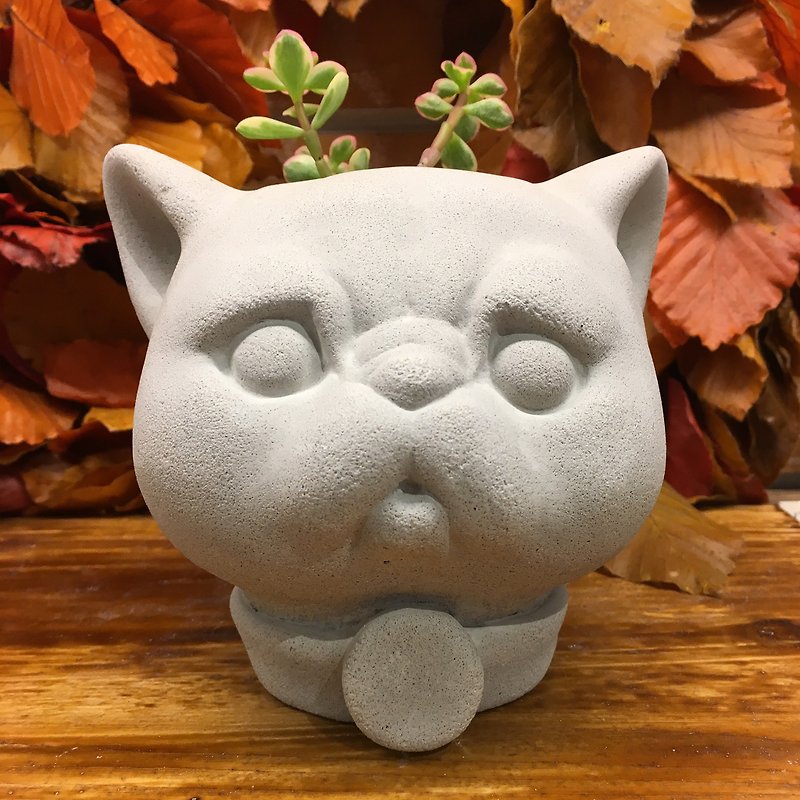 扁臉貓咪 - 水泥盆 - 其他 - 水泥 灰色