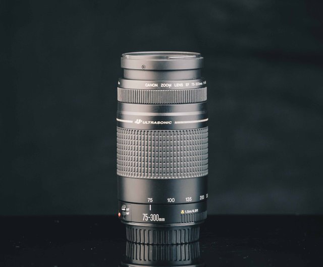Canon Ef 75 300mm F4 5 6 8 Shop Rickphoto Cameras Pinkoi