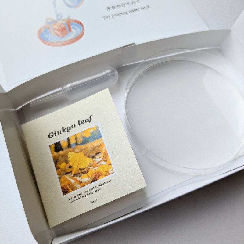 【預購】會溶解的書本禮物 / 項鍊 / 銀杏 / 不鏽鋼 - 項鍊 - 塑膠 橘色