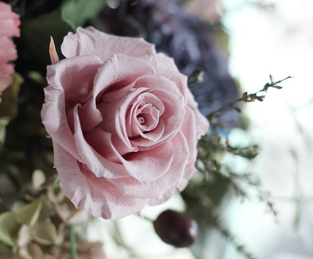 花のセレモニーデザイン 枯れた花シリーズなし 枯れたバラの鉢植えの花のないレトロなチューリップカップ ショップ Ariel S Design 観葉植物 Pinkoi