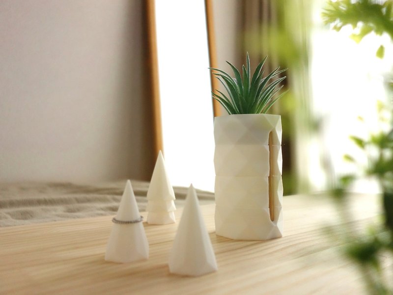 Fake Plants and Accessories Case, Ring Stand, Geometric Polygon