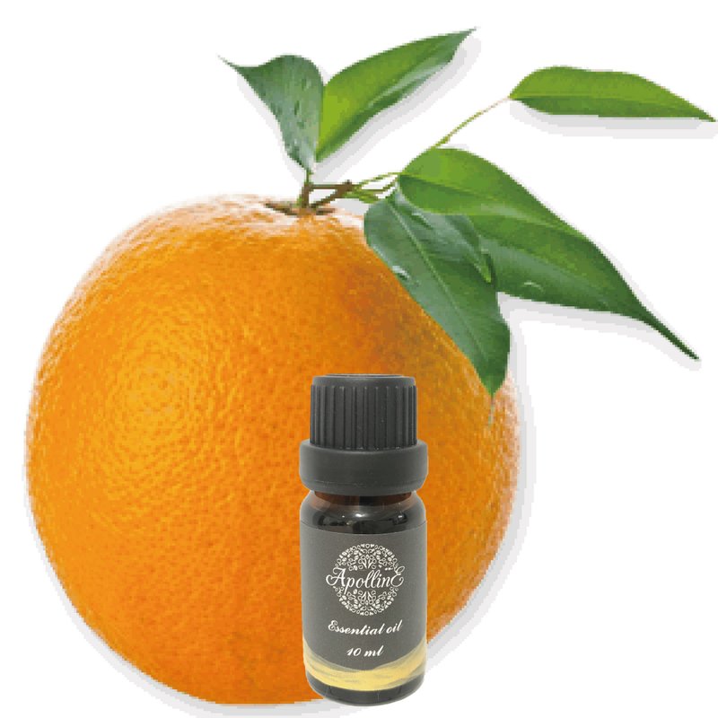 甜橙精油 ORANGE - 香氛/精油/擴香 - 精油 