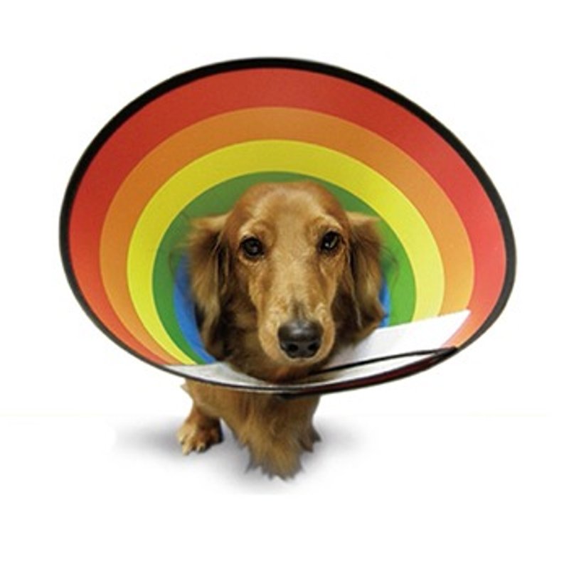 (M)伊莉莎白項圈(頭套)頸圍約27公分左右 彩紅 Rainbow - 貓狗頸圈/牽繩 - 塑膠 多色