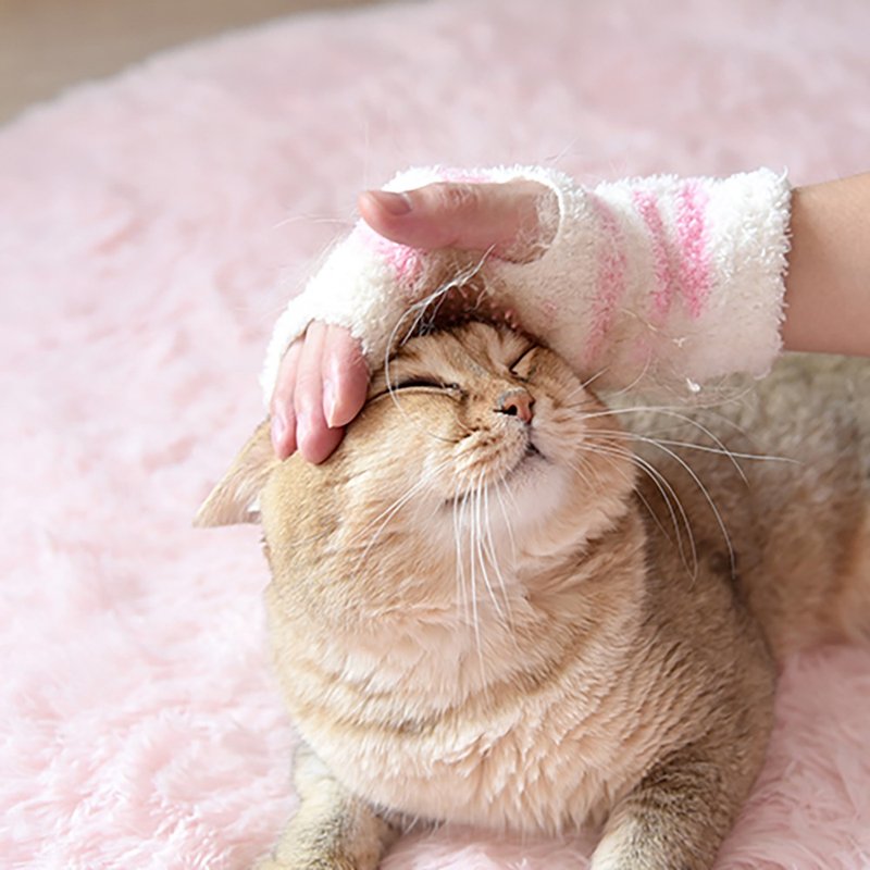 【日本CattyMan】貓用按摩梳理手套 - 寵物沐浴乳/洗毛精 - 其他材質 粉紅色