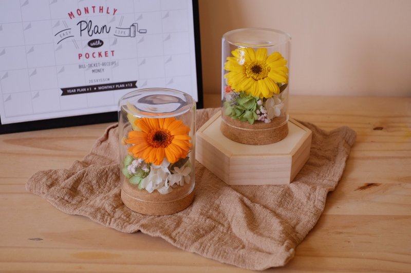 Gerbera Bauble Mini Glass Shade - ช่อดอกไม้แห้ง - พืช/ดอกไม้ หลากหลายสี