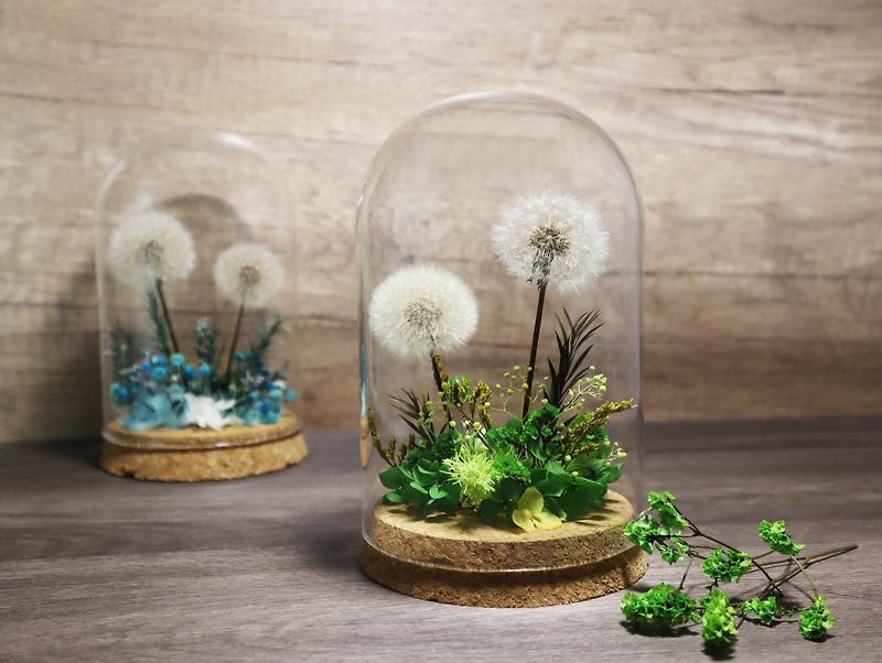 Dreaming End of the World Dandelion Immortal Flower-Heart Spring Green - Items for Display - Plants & Flowers White