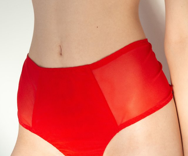 High-waisted panties - Soft mesh sheer lingerie - Women's sexy underwear -  Shop Marina V Lingerie Women's Underwear - Pinkoi