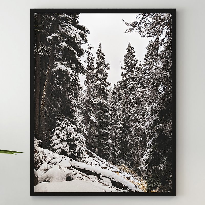 ป่ามืด ฤดูหนาวสีดำ ป่าสน ป่า ต้นไม้เต็มไปด้วยหิมะ ธรรมชาติสีขาวเหมือนหิมะ - โปสเตอร์ - กระดาษ 