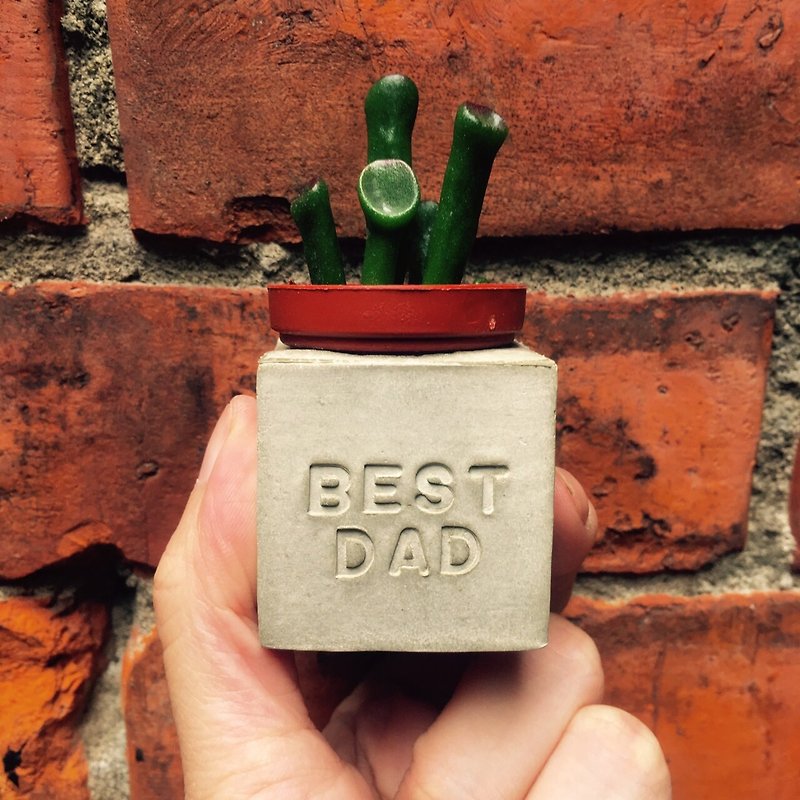 Father's Day gift. Best Dad's best dad. Succulent Magnet Potted Plants - ตกแต่งต้นไม้ - ปูน สีเทา