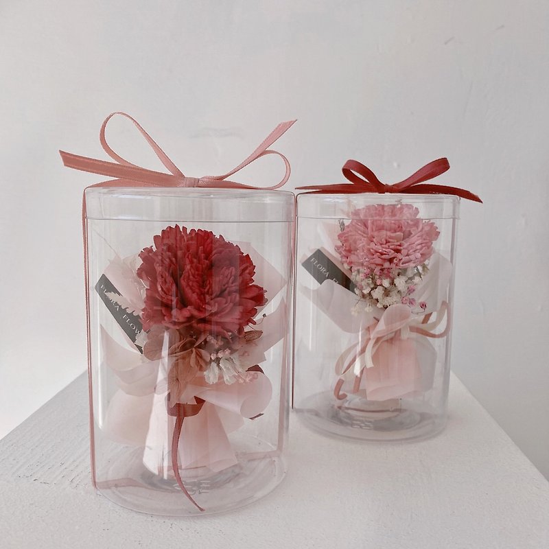 Flora Flower Diffuser Bouquet - Carnations for Mother's Day - Dried Flowers & Bouquets - Plants & Flowers Pink