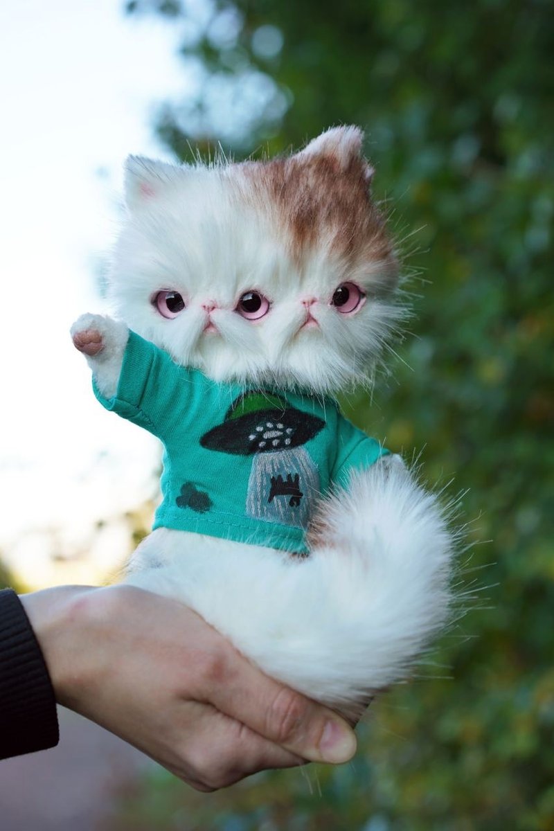 Ufo kitten - 公仔/玩偶 - 其他材質 白色