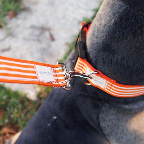 TOTOMOMO 橘色條紋款 犬用項圈 牽繩