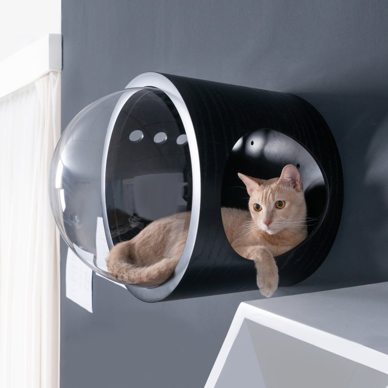 Clear Cat Bed, Standing Cat house | Spaceship Gamma-Black| MYZOO - Bedding & Cages - Wood 