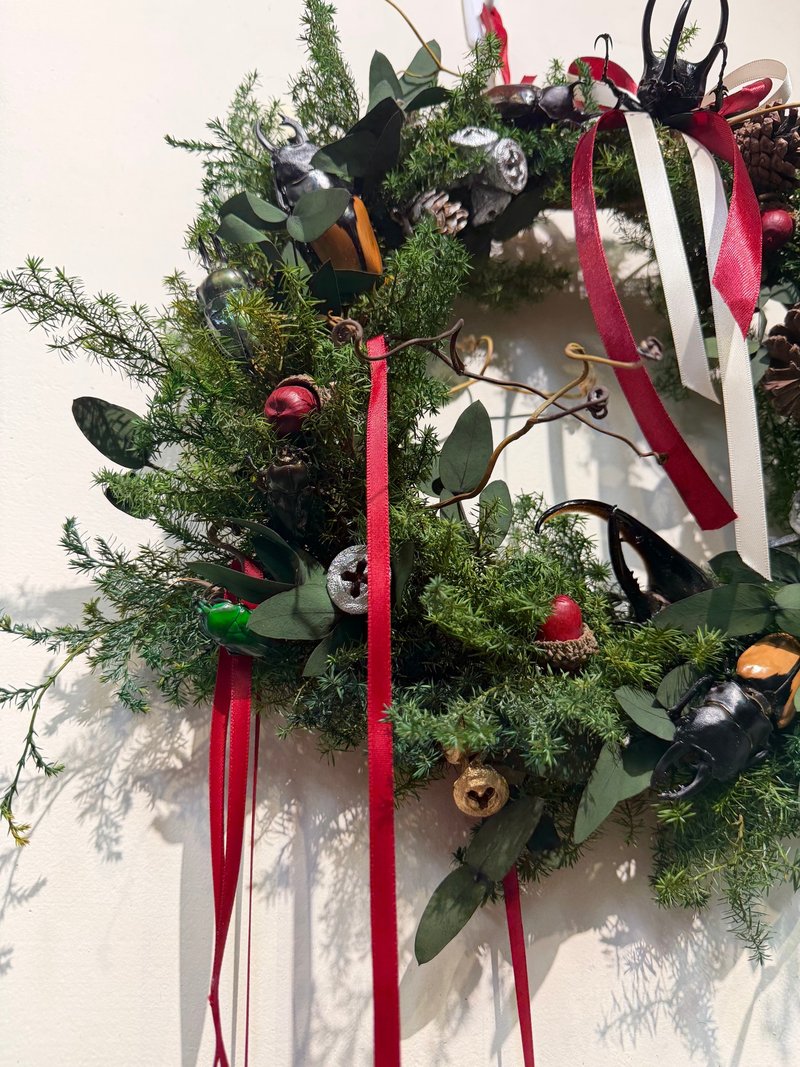 全訂製商品。甲蟲頭雕花圈。聖誕節裝飾 - 乾燥花/永生花 - 植物．花 綠色