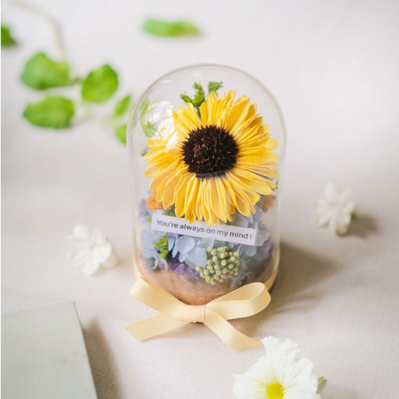 畢業禮物/索拉太陽花/永生花玫瑰花玻璃盅/共7款/乾燥花/生日禮物 - 乾燥花/永生花 - 植物．花 