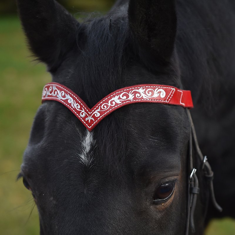 Red leather browband for horses draft pony. Handmade Brow band with hand-paint - 其他 - 真皮 紅色