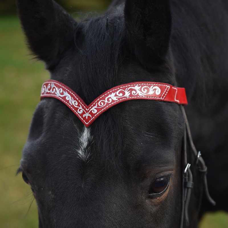 Red leather browband for horses draft pony. Handmade Brow band with hand-paint - Other - Genuine Leather Red