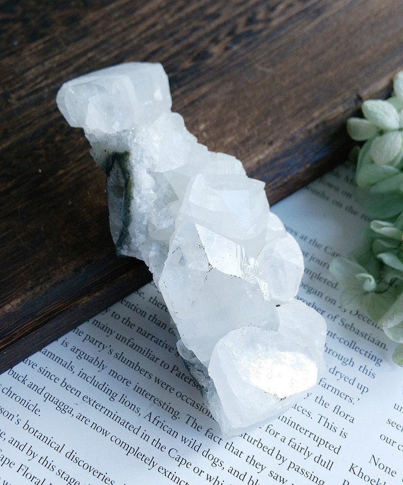 Apophyllite 印度產地 魚眼石 天然礦石 原礦 - 擺飾/家飾品 - 其他材質 