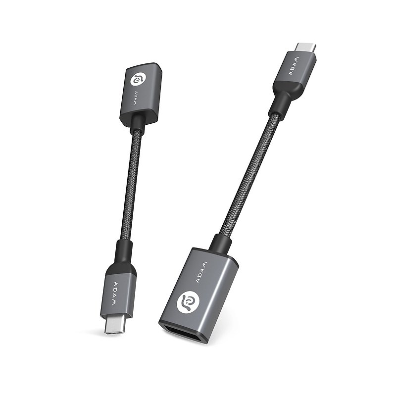 CASA F13 USB Type-C Male to USB Type-A Female Adapter - Chargers & Cables - Other Metals Gray
