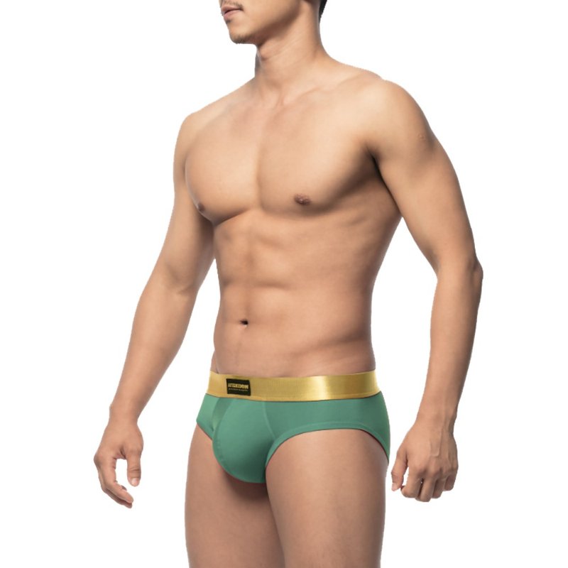 ゴールドディガーメンズブリーフ【モランディグリーン】│AttentionWear、ATTENTION - アンダーウェア  メンズ - ナイロン グリーン