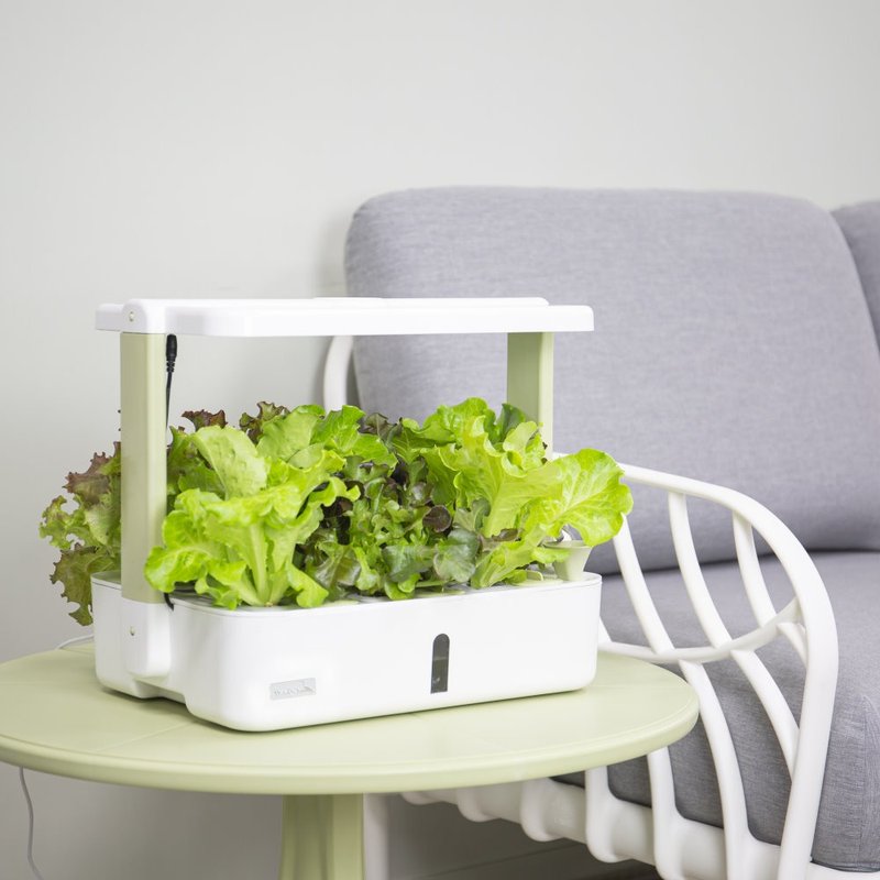 Lalagoon hydroponic machine (enter the order area) - ตกแต่งต้นไม้ - พลาสติก ขาว