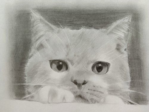 T.C. Lin 的工作坊 鉛筆素描 / 寵物畫 / 貓 / 含框