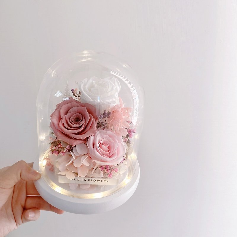 Flora Flower Preserved Flower Large Glass Shade Night Light-Salmon Powder - Dried Flowers & Bouquets - Plants & Flowers Pink