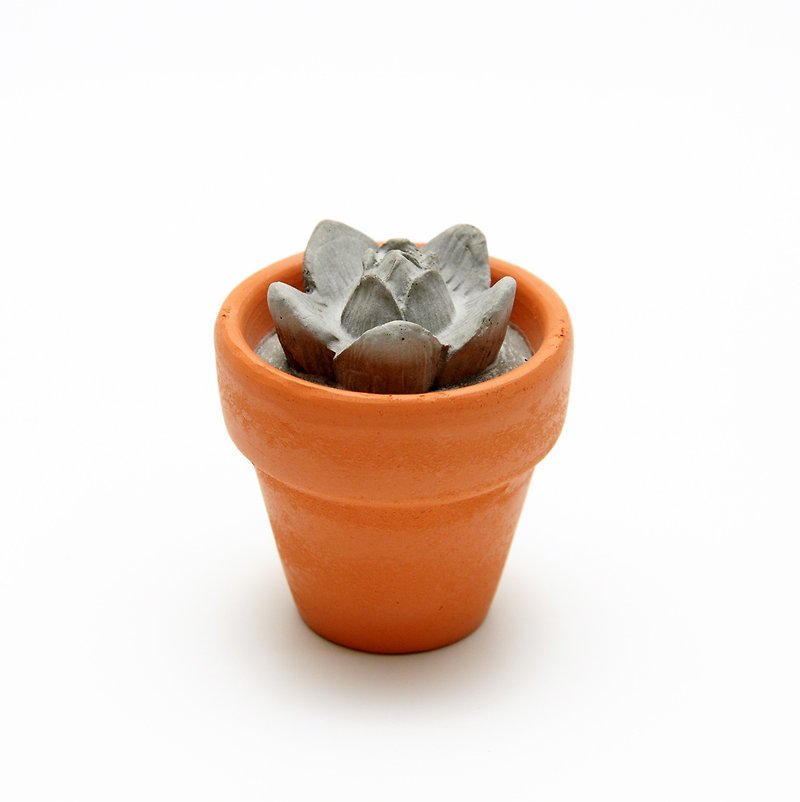 セメント多肉植物Shoujinミニ鉢植え（灰色）-永遠のシリーズ - 観葉植物 - コンクリート グレー