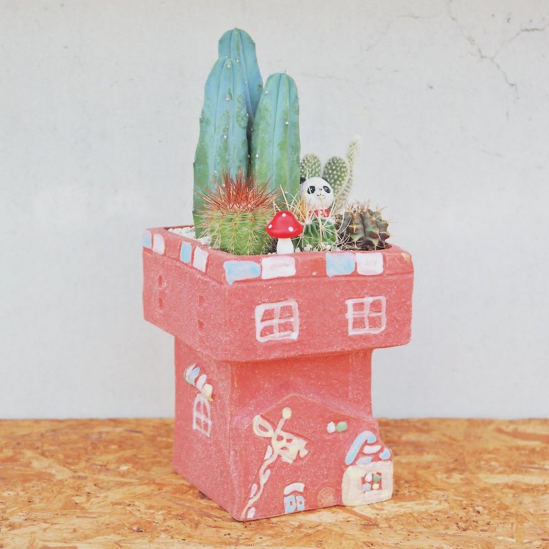 Peas Succulent Plant With Small Groceries - Red Castle Cactus Combination - Plants - Pottery 