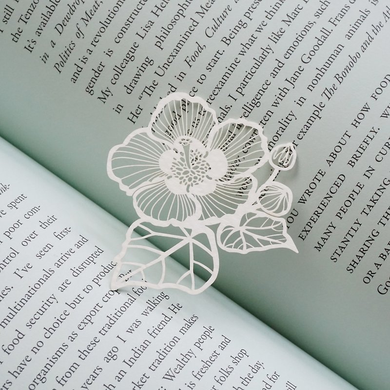Hibiscus taiwanensis - Bookmarks - Paper White