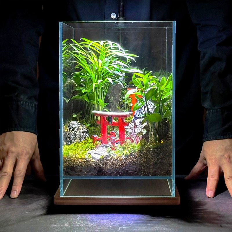 靈隱之徑 / 主題性客製化造景生態缸 - 盆栽/植栽 - 植物．花 
